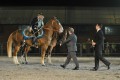 Fort Nelson Tattoo – evening performance