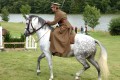 WW1